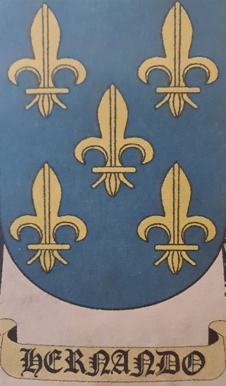 Escudo heráldico representativo del apellido.